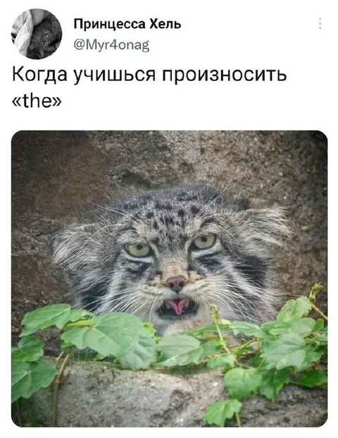 Как произносить «the»