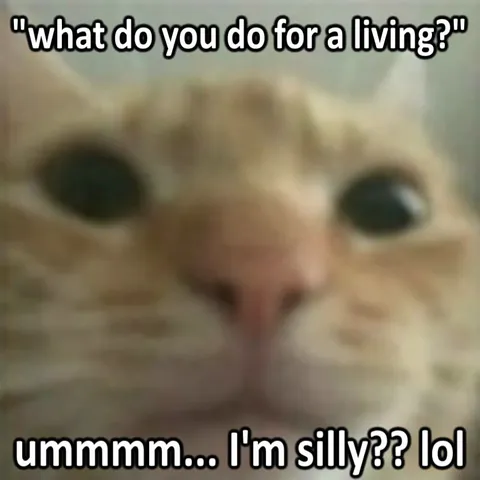 What Do You Do for a Living Cat