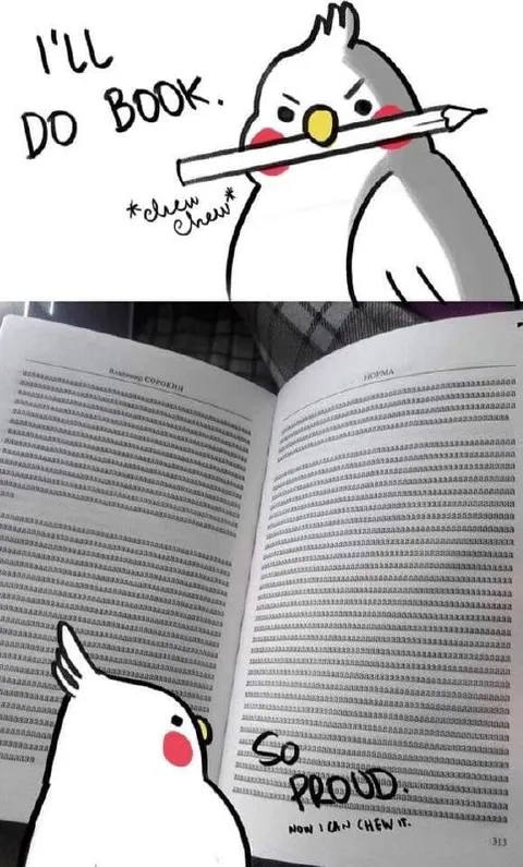 Cockatiel Will Do Book