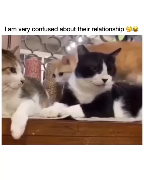 Confused About Their Relationship
