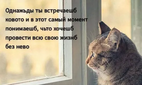 Встреча с кем-то особенным