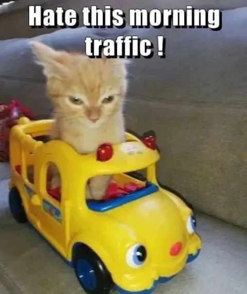 Hate This Morning Traffic