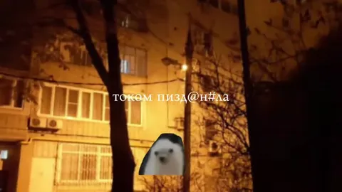 Пьяный хомяк гуляет ночью