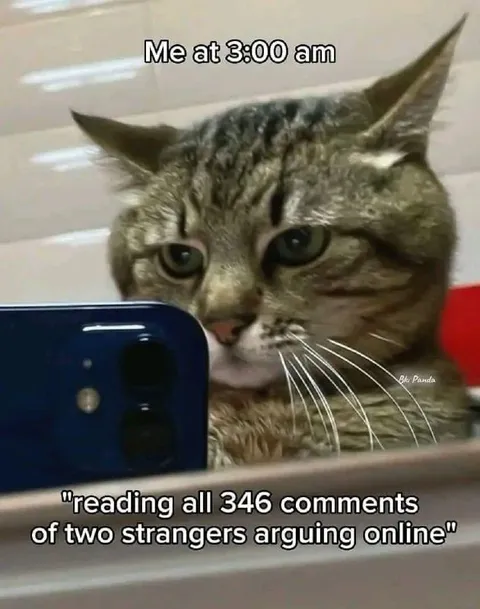 Cat Reading Online Arguments