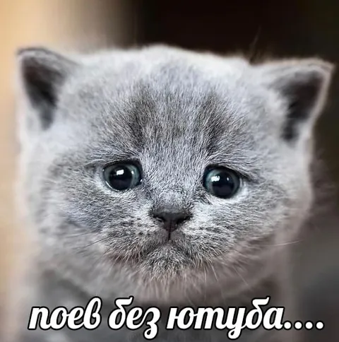 Поел без ютуба