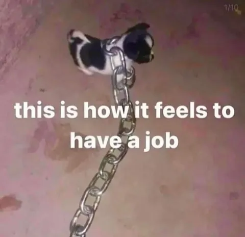 This Is How It Feels to Have a Job