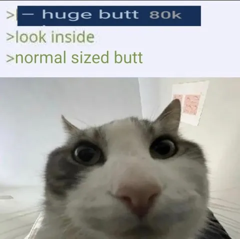 Huge Butt 80k Bait