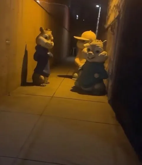 Зверята в ночном переулке