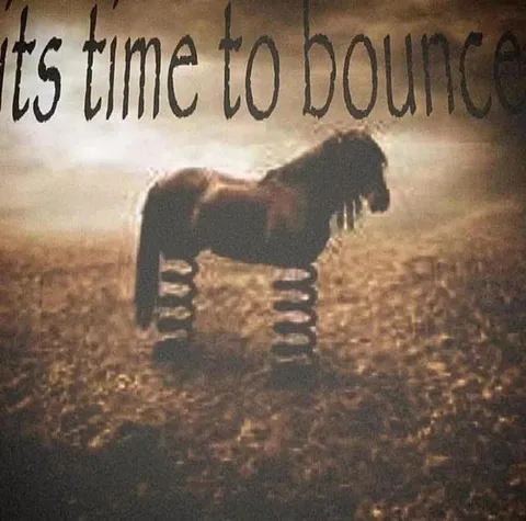 It's Time to Bounce Horse