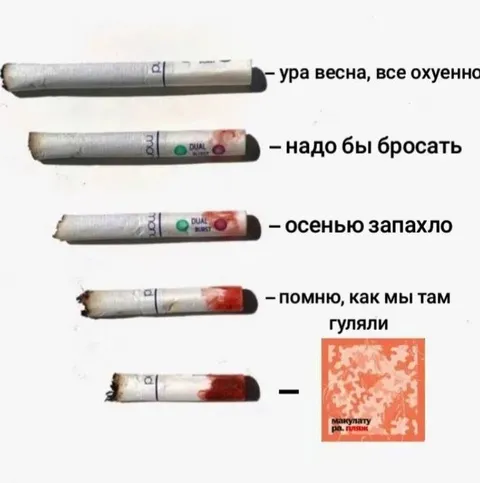 Сигареты как времена года