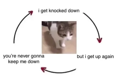 Cat Gets Knocked Down Again