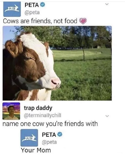 PETA Cow Friendship Reply