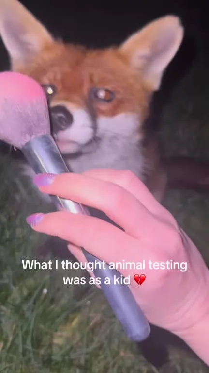 Animal Testing Was Just Pampering