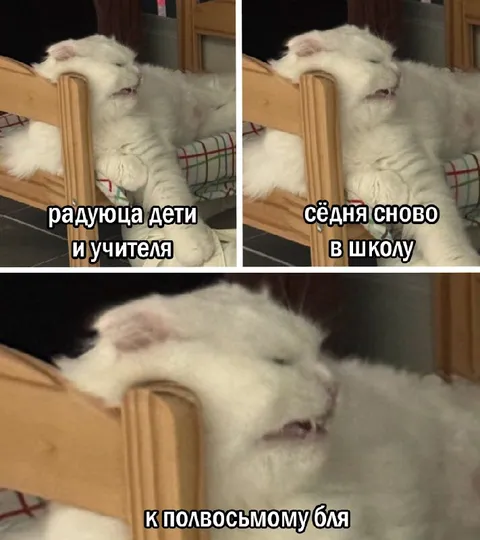 К полвосьмому в школу