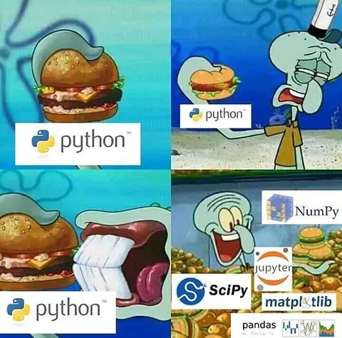 Python Burger Evolution