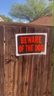 Beware of the Tiny Dog