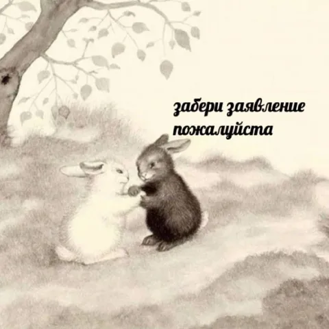 Забери заявление пожалуйста