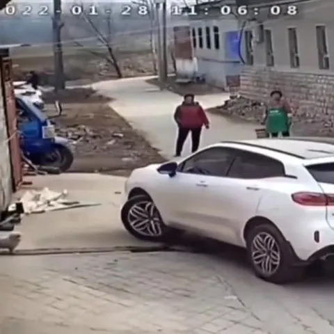 Крыса вылетает из машины