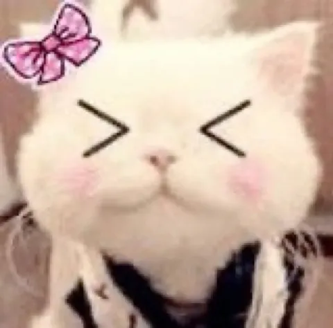 Милый котик с бантиком