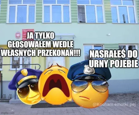 Głosowałem wedle przekonań