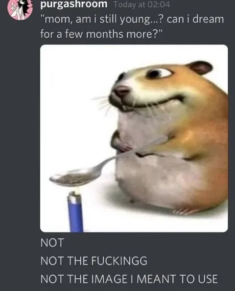 Not the Image I Meant to Use