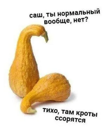 Кроты ссорятся в тишине