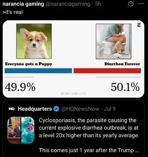 Everyone Gets a Puppy