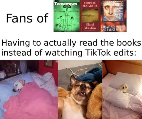 Fans Read the Books