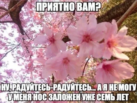 Нос заложен семь лет