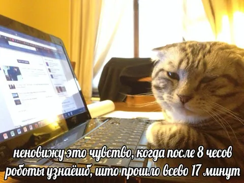 После восьми часов работы