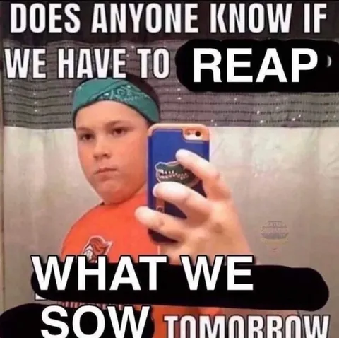 Reap What We Sow Tomorrow