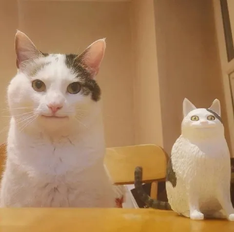 Кот и его статуя