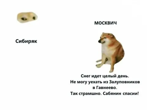 Сибиряк и испуганный москвич