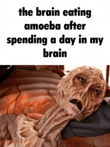 Brain-Eating Amoeba After One Day