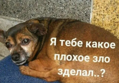 Какое плохое зло сделал