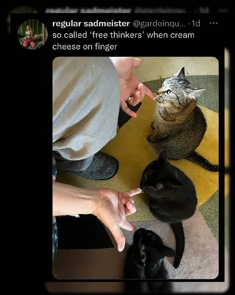 Free thinkers when cream cheese
