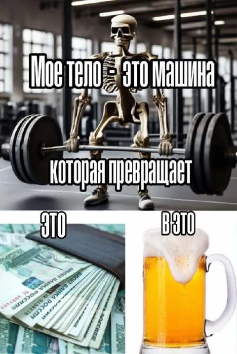 Тело превращает деньги в пиво