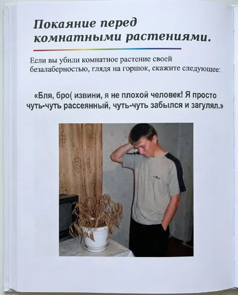 Покаяние перед комнатными растениями