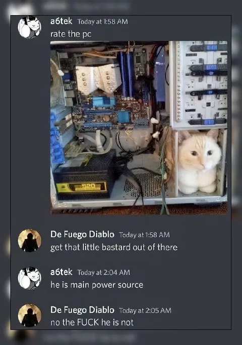 Cat Is the Main Power Source