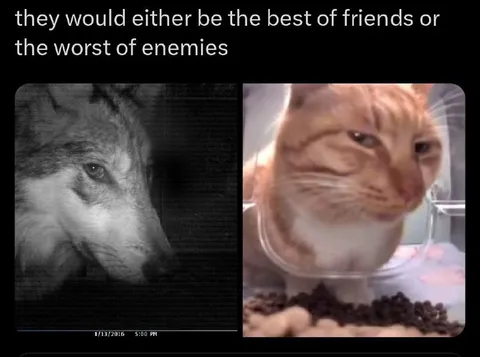 Best Friends or Worst Enemies