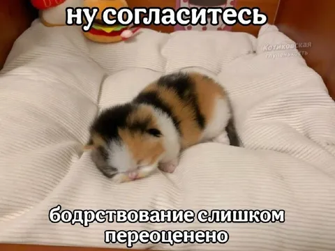 Слишком переоценённое бодрствование