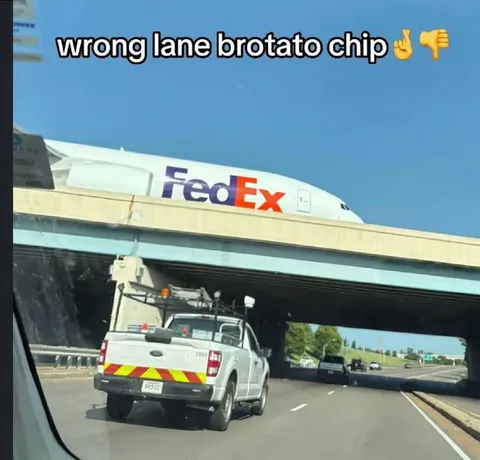 Wrong Lane Brotato Chip