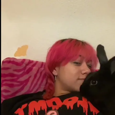 Rabbit Interrupts the Selfie