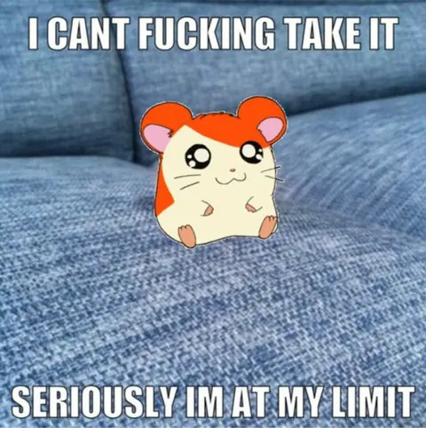 Hamster At My Limit