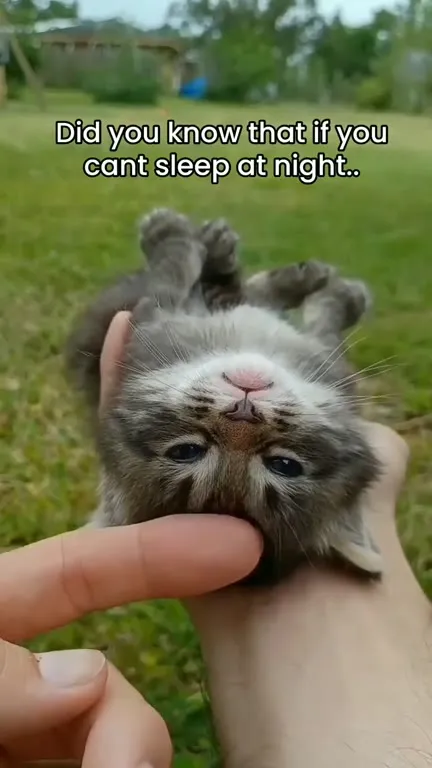 Why You Can't Sleep