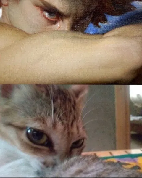 Кот тоже плачет