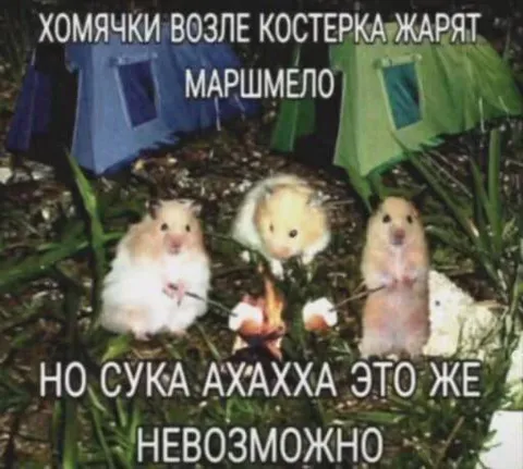 Хомячки жарят маршмеллоу