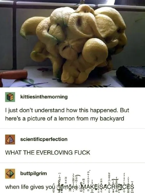 When Life Gives You Lemons