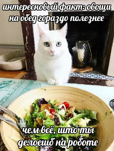 Овощи полезнее всего