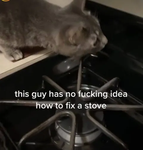 Cat Tries to Fix the Stove